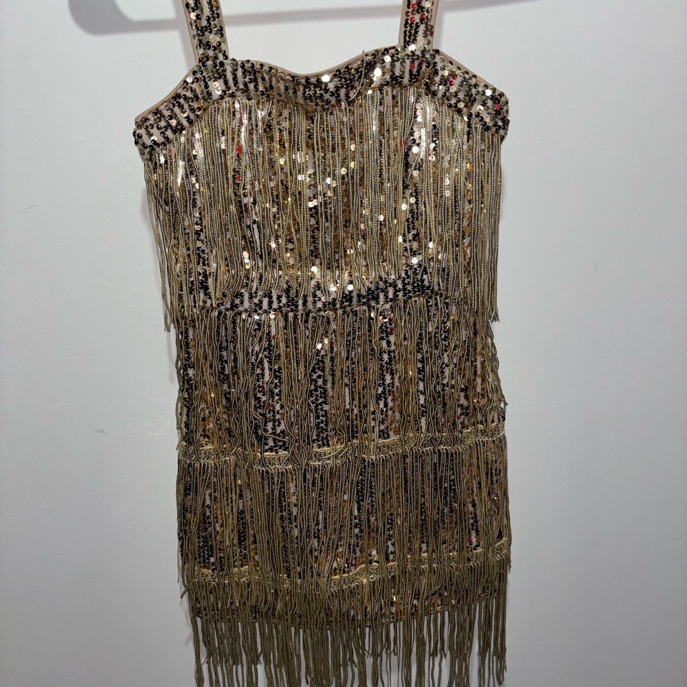 Gold Sequin Fringe Dress